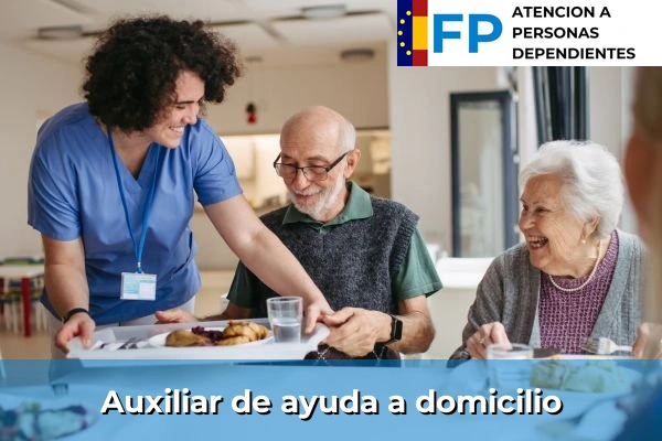 Auxiliar de ayuda a domicilio