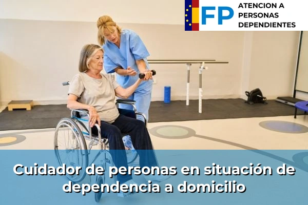 Cuidador de personas en situación de dependencia a domicilio